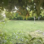 Bed & Breakfast Striari 3*